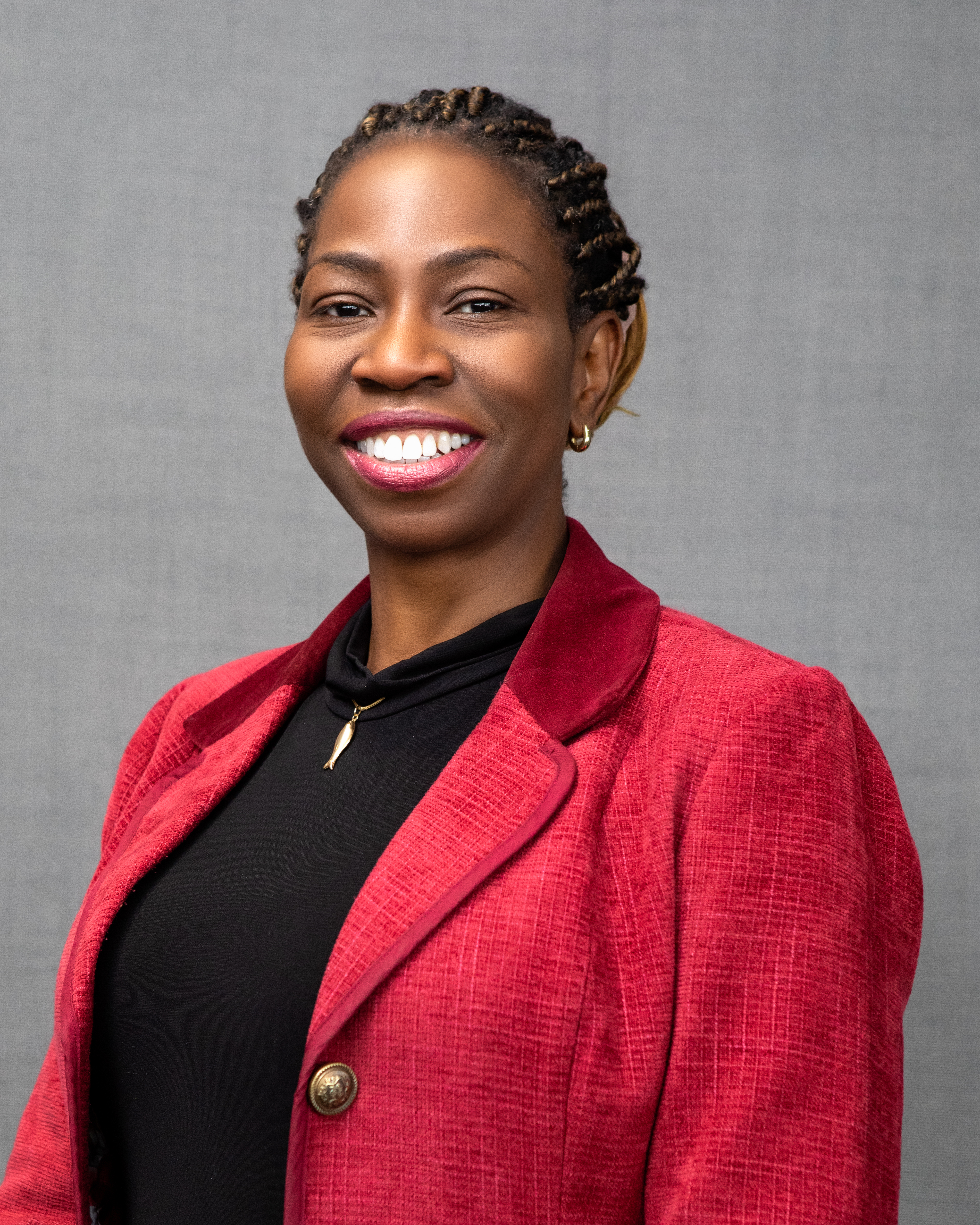 Prof Bola Owolabi, the new Chief Inspector of Primary and Community Services 